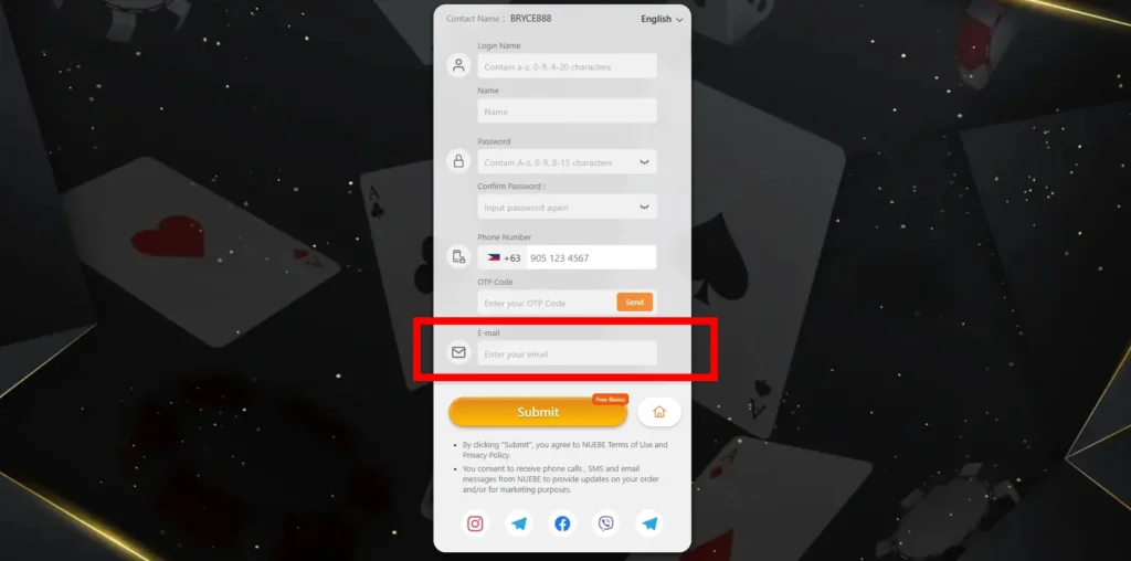 E-mail address input field on Nuebe Gaming's registration form.